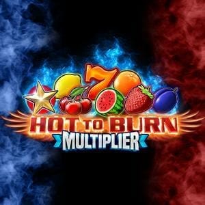 Hot To Burn Multiplier game cover