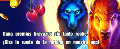 Gana premios VIP en petucasino.com 💎
